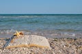 Open book sand seashells sea star beach sea shore blue sky white wave summer weekend vacation Royalty Free Stock Photo