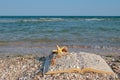 Open book sand seashells sea star beach sea shore blue sky white wave summer weekend vacation Royalty Free Stock Photo