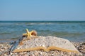 Open book sand seashells sea star beach sea shore blue sky white wave summer weekend vacation Royalty Free Stock Photo