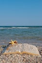Open book sand seashells sea star beach sea shore blue sky white wave summer weekend vacation Royalty Free Stock Photo