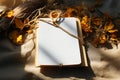 Open book composition adorned with dry leaves, blank pages, serene tones Royalty Free Stock Photo