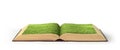 Open book covered grass