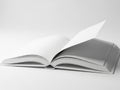 Open book displaying blank pages on plain background Royalty Free Stock Photo