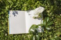 An open book with empty pages, a white rose flower and a green clover. Romantic concept. Copy space