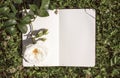 An open book with empty pages, a white rose flower and a green clover. Romantic concept. Copy space Royalty Free Stock Photo