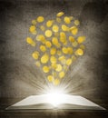 From an open book flied out coins Royalty Free Stock Photo