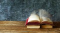 Open book with flipping blurred pages.Reading,literature,education,library,home office concept, copy space Royalty Free Stock Photo