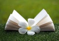 Open book with flower on grass Royalty Free Stock Photo