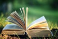 Open book with flower on grass Royalty Free Stock Photo