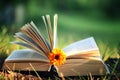 Open book with flower on grass Royalty Free Stock Photo