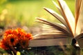 Open book with flower on grass Royalty Free Stock Photo