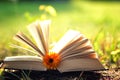 Open book with flower on grass Royalty Free Stock Photo