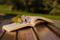 Open book with flowers on the bench