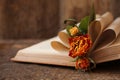 Open book with folded pages and beautiful dried flowers on wooden table, closeup Royalty Free Stock Photo