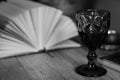 Open book with glass of wine, black and white. Open book with wineglass.Reading books. Literature background. Royalty Free Stock Photo