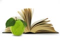 Open Book and globe in green apple. Royalty Free Stock Photo