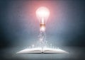 Open book and glowing light bulb over it. Knowledge, education concept Royalty Free Stock Photo