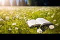 Open book in the grass on the field on sunny day in spring. Beautiful meadow with daisy and dandelion flowers at springtime. Royalty Free Stock Photo