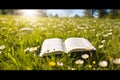 Open book in the grass on the field on sunny day in spring. Beautiful meadow with daisy and dandelion flowers at springtime. Royalty Free Stock Photo