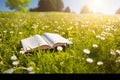 Open book in the grass on the field on sunny day in spring. Beautiful meadow with daisy and dandelion flowers at springtime. Royalty Free Stock Photo