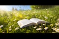 Open book in the grass on the field on sunny day in spring. Beautiful meadow with daisy and dandelion flowers at springtime. Royalty Free Stock Photo