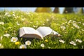 Open book in the grass on the field on sunny day in spring. Beautiful meadow with daisy and dandelion flowers at springtime. Royalty Free Stock Photo