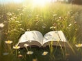 Open book in the grass on the field on sunny day in spring. Beautiful meadow with daisy and dandelion flowers at Royalty Free Stock Photo