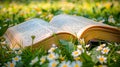 Open book in the grass on the field on sunny day in spring. Beautiful meadow with daisy flowers at springtime Royalty Free Stock Photo