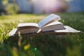 Open book on a green grass against beautiful sunset lights with sun ray