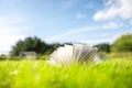 Open book on green grass in a field background Royalty Free Stock Photo