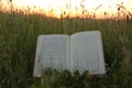 Open book on green grass in field at sunset Royalty Free Stock Photo