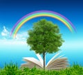 Open book in green grass over blue sky Royalty Free Stock Photo