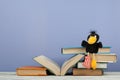 Open book, hardback colorful books on wooden table. Toy crow. Back to school. Copy space for text. Education business Royalty Free Stock Photo