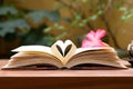 Open book with heart shape page Royalty Free Stock Photo