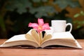 Open book with heart shape page Royalty Free Stock Photo