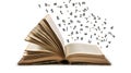 An open book with letters flying out of it Royalty Free Stock Photo