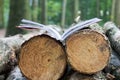 An open book lies on felled trees, Save the trees - read e-books