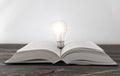 Open book with a light bulb on the background of a wooden table. Royalty Free Stock Photo