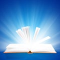 Open book Royalty Free Stock Photo