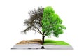 Open book with live and dead tree isolated on a white background. Royalty Free Stock Photo