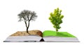 Open book with live and dead tree isolated on a white background. Royalty Free Stock Photo