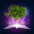 Open book with magical green tree and rays of