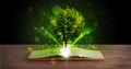 Open book with magical green tree and rays of light Royalty Free Stock Photo
