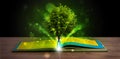 Open book with magical green tree and rays of light Royalty Free Stock Photo