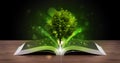Open book with magical green tree and rays of light Royalty Free Stock Photo