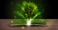 Open book with magical green tree and rays of light Royalty Free Stock Photo