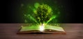 Open book with magical green tree and rays of light Royalty Free Stock Photo