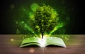 Open book with magical green tree and rays of light Royalty Free Stock Photo