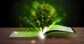 Open book with magical green tree and rays of light Royalty Free Stock Photo