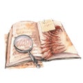 Open book with a magnifying glass and dried fern leaf.